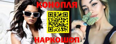 сатива Бузулук