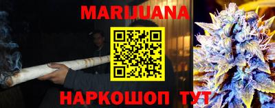 сатива Бузулук